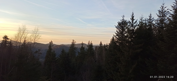 Landschaft mit Wald und Sonnenuntergang
